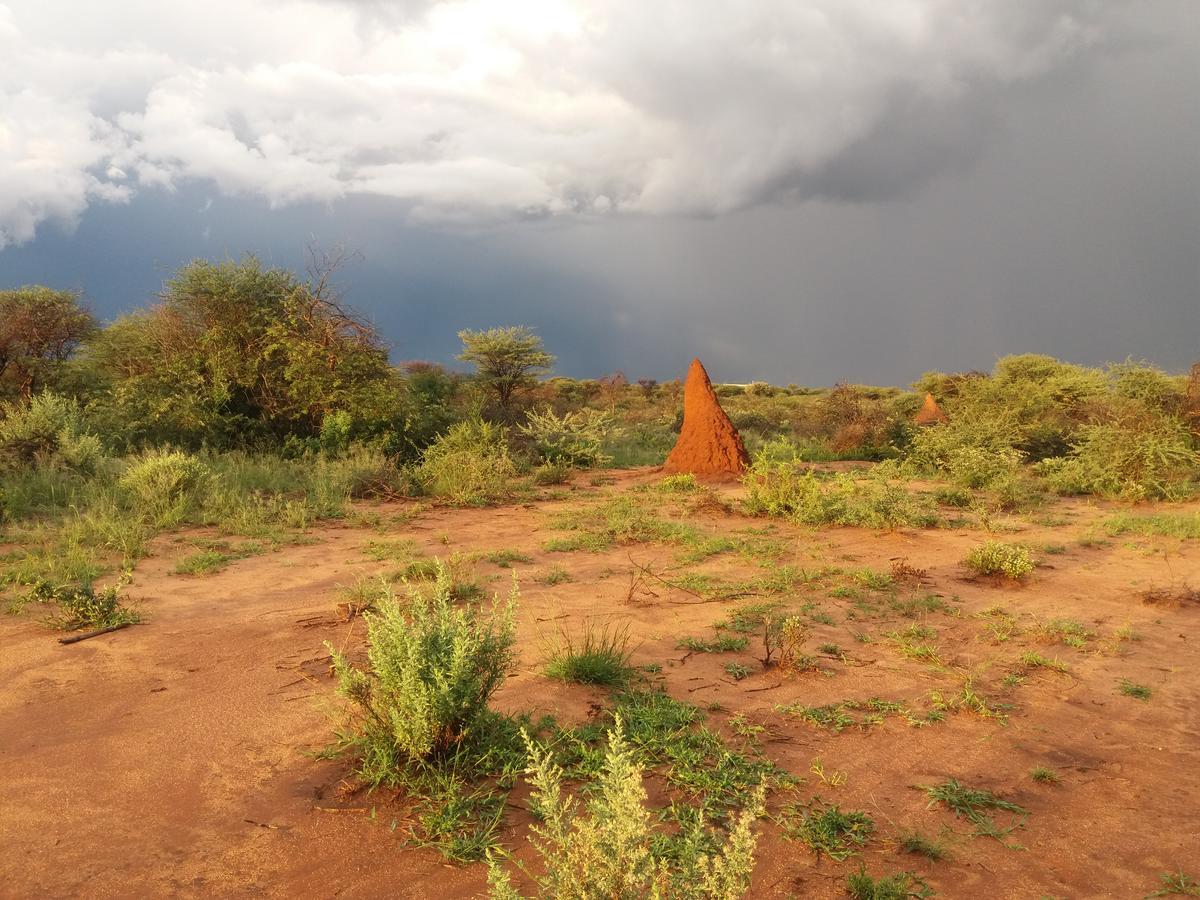 Lion'S Den Guesthouse Otjiwarongo Exterior foto