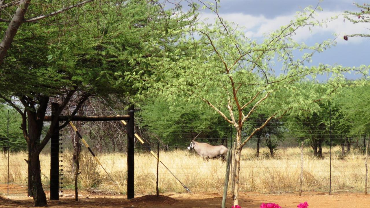 Lion'S Den Guesthouse Otjiwarongo Exterior foto
