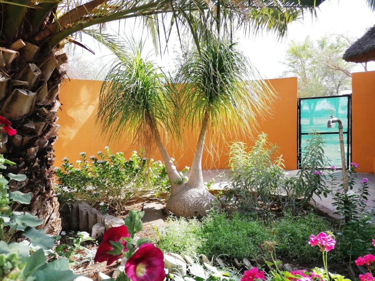Lion'S Den Guesthouse Otjiwarongo Exterior foto