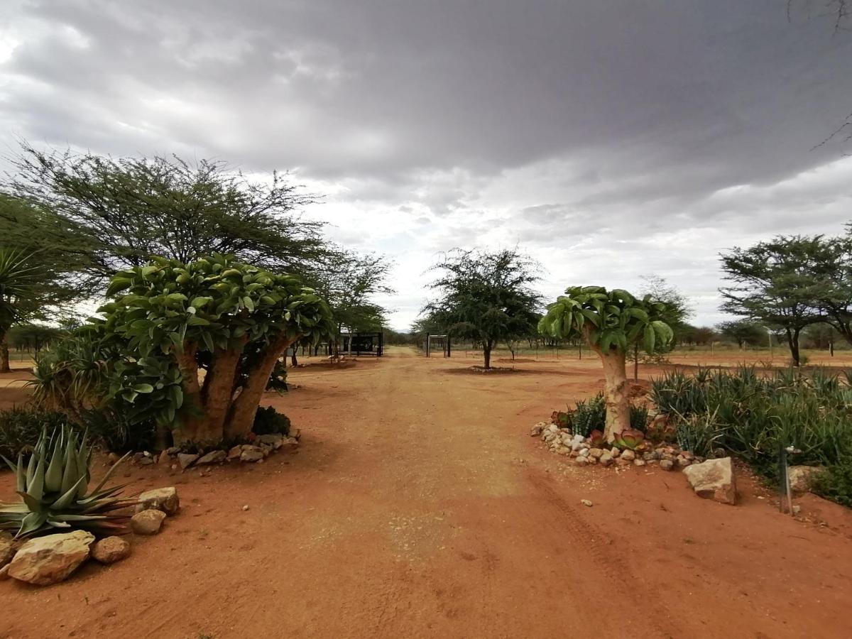 Lion'S Den Guesthouse Otjiwarongo Exterior foto